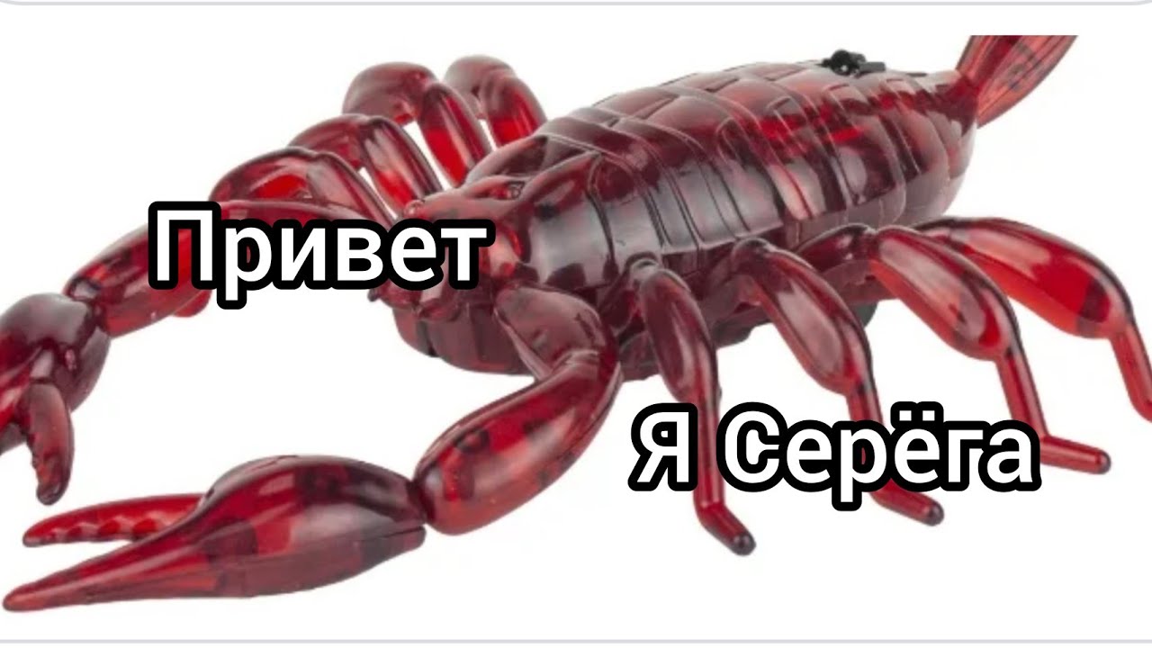 Сергей Скорпион Знакомства