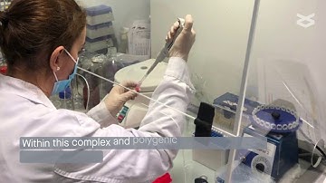 A gene co association network regulating gut microbial communities in Duroc pigs