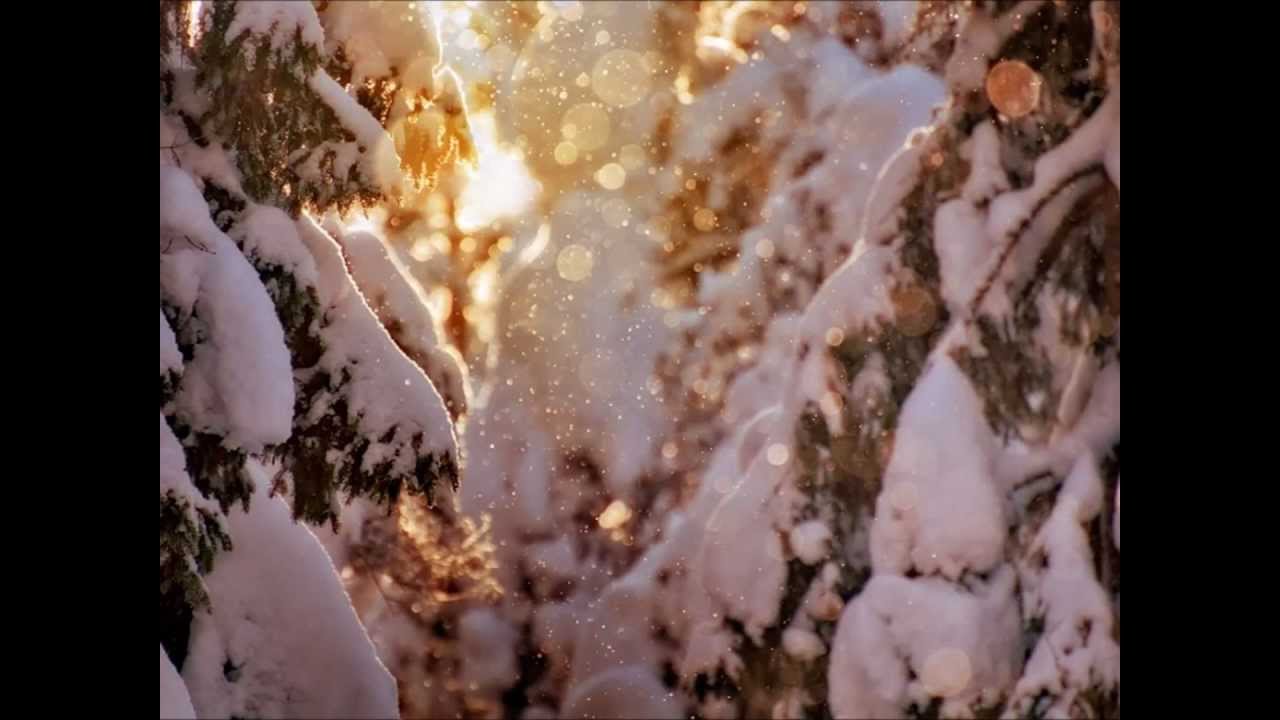 tyler straub favorite time of the year vince guaraldi vince guaraldi christmas time is here