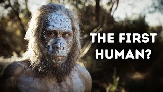 Evolution of Humans in 60 Minutes | Documentary Net Worth