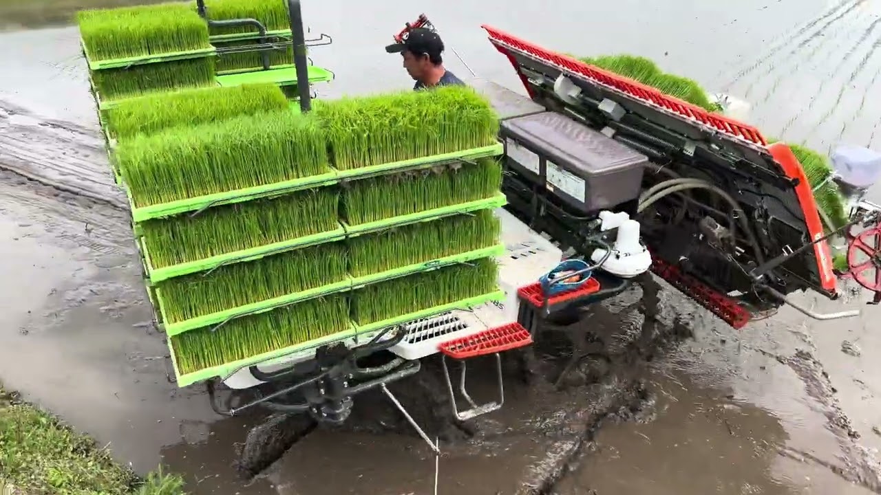 Kubota】『NW8S GS 』Agriculture 8条植え 田植え機 早すぎる 田植え