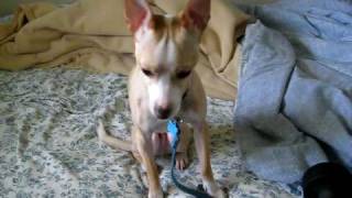 MVI_6380.AVI