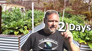 21 Days Eating ONLY What We Can Grow | The Movie