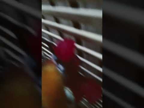 это видео для людей 65+