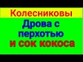 Колесниковы. Фермер и бартер. Обзор влогов. 14 06 2023 Колесников