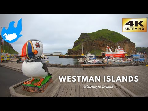 Iceland Walking Tour - Westman Islands [4K]