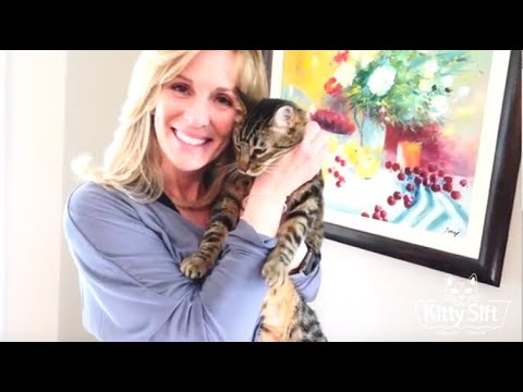 Kitty Sift™ disposable sifting litter box, 60 second video