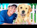My Magic Dog FAMILY Full Movie In English My Magic Dog FAMILY Full Movie In English