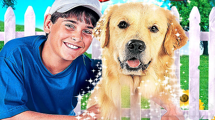 My Magic Dog | FAMILY | Full Movie in English