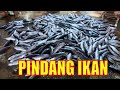 Begini Proses Pembuatan PINDANG IKAN | RAGAM INDONESIA (20/08/20)