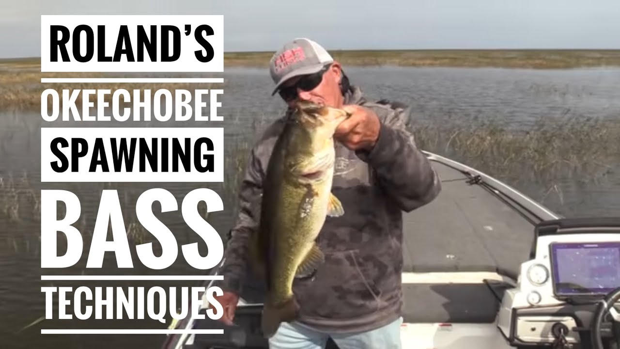 Roland’s Okeechobee spawning bass techniques