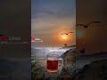 حالات واتس اب عن الزعل 