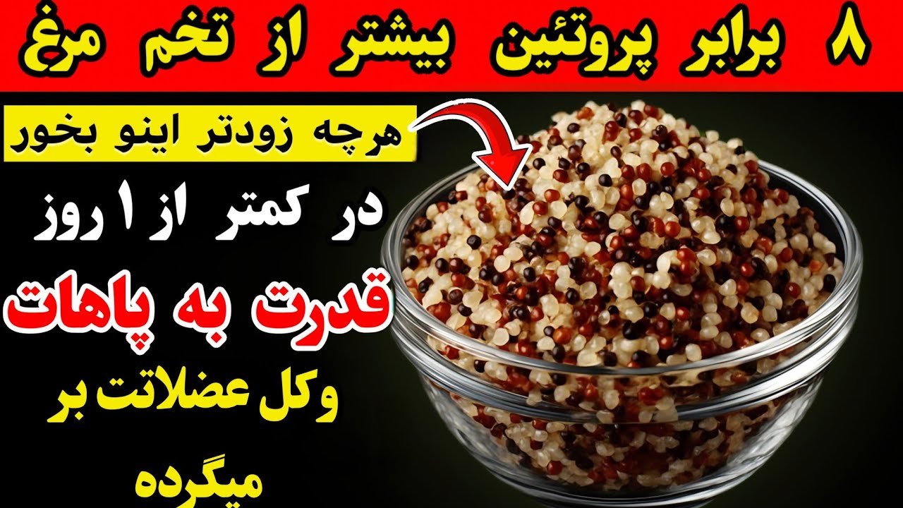 بعد از ۷۰ سالگی عضله بسازید: این غذاهای پروتئینی را قبل از خواب بخورید تا از تحلیل عضلات جلوگیری شود