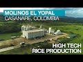 Molinos el yopal columbia  high tech rice production