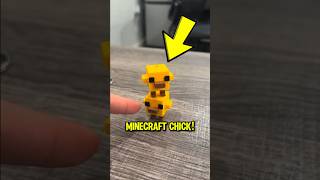 Never Ignore This Minecraft Chick 😱