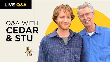 Q & A With Cedar & Stu Anderson
