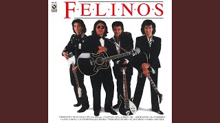 Virgencita de Guadalupe (Esa Morena)