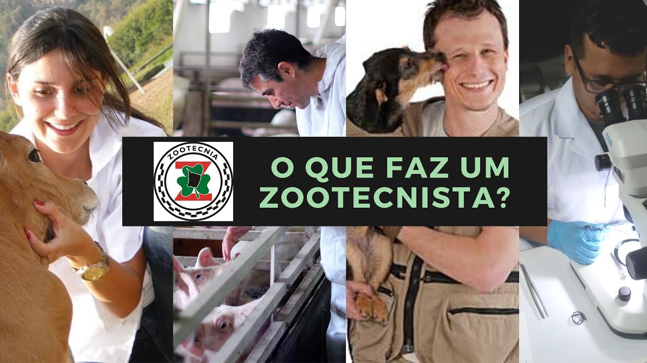 O que faz um Zootecnista? YouTube