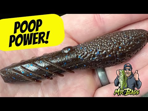 POOP BAITS - Underwater Bait Comparison! (The Fastest Growing Category In Bass  Fishing!) 