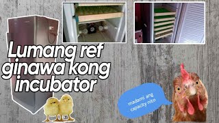 DIY Egg incubator Mula sa Lumang Ref | Diy | Chicken Farming