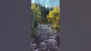 قران كريم ارح قلبك وسمعك #قران_في_دقيقة #رعد_الكردي #quran #قرآن #المصحف