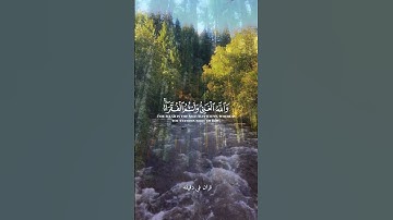 قران كريم ارح قلبك وسمعك #قران_في_دقيقة #رعد_الكردي #quran #قرآن #المصحف