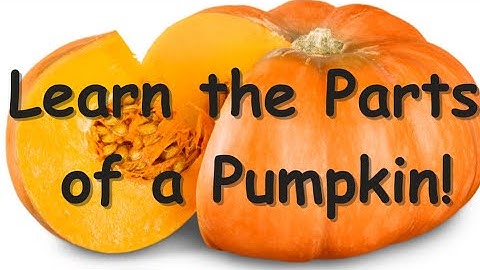 Parts of a Pumpkin Song | Learn About Pumpkins for Kids | Fun Fall Learning!