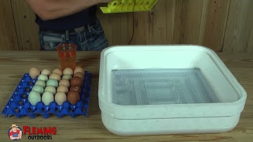 Guide To Incubating and Hatching Eggs - Part 2