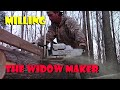 THREE Trees DOWN! Milling the Boards For Our Off-Grid Trailer Deck