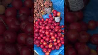 Plum litchi #viral #video #fruit #imphal #manipur #shorts #vlog #trending #trend #fypシ