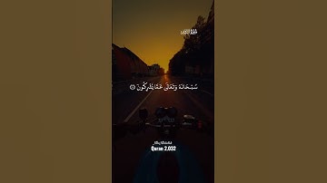 سورة الروم #القران_الكريم #راحة_نفسية #ياسر_الدوسري  #القرآن_الكريم  #قرآن  #quran