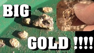 BIGGEST GOLD NUGGET !!!! Found In Our Drift Mine. ask Jeff Williams