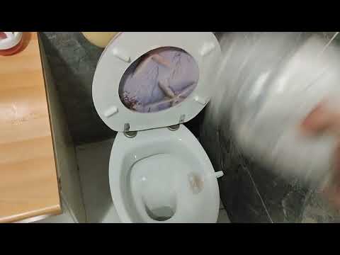 Video: Kako očistiti začepljen WC?