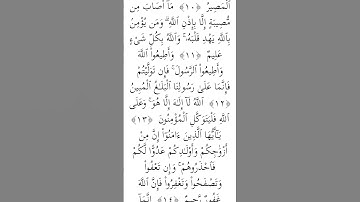 #سوره التغابن الأية 10و11و 12#الحمد لله #
