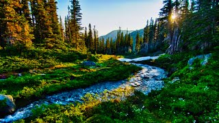 4k Turquoise River Noise. Fast Turquoise Carpathian Mountain River Relaxing Sounds for Sleeping