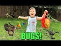 Caleb and mommy play and find real bugs outside pretend play with insects