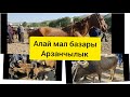 АЛАЙ МАЛ БАЗАРЫ мал арзандаганы билинди