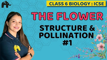 The Flower Class 6 ICSE Biology Chapter 2 | Selina | Structure & Pollination  #1
