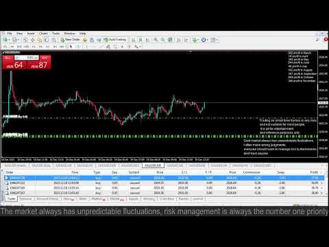 Live XAUUSD- FTMO Fund- My Trading Strategy- 19/12/2023