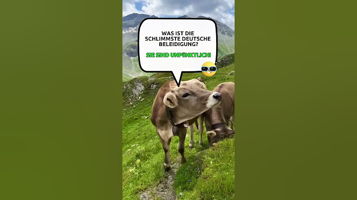 Was ist die schlimmste deutsche Beleidigung?  #absurderhumor #anekdoten