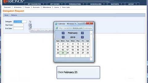 Kronos: Configure and use Delegation Profile V6x