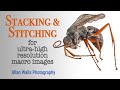 Stacking & Stitching - for ultra-high resolution macro images