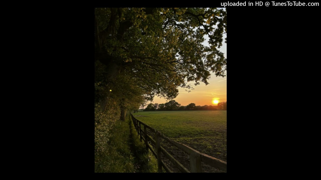 lil tony x hariroc x duvy type beat