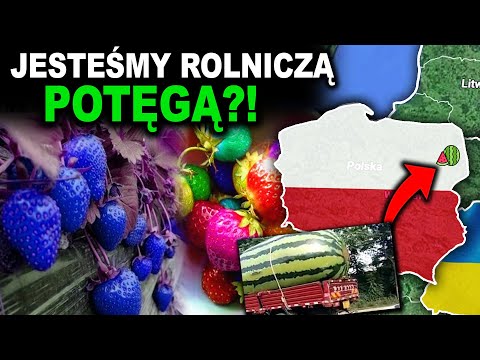 Jak SILNE jest