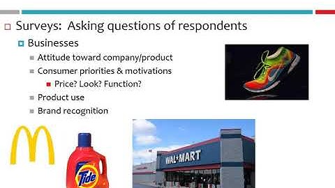 Module 4 (What Are Surveys?)