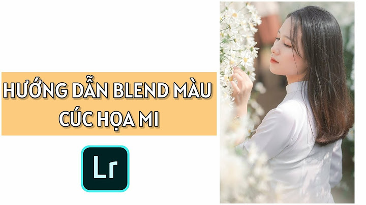 Hướng dẫn blend màu ảnh cúc họa mi