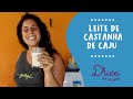 Leite de castanha de caju | Drica na Cozinha