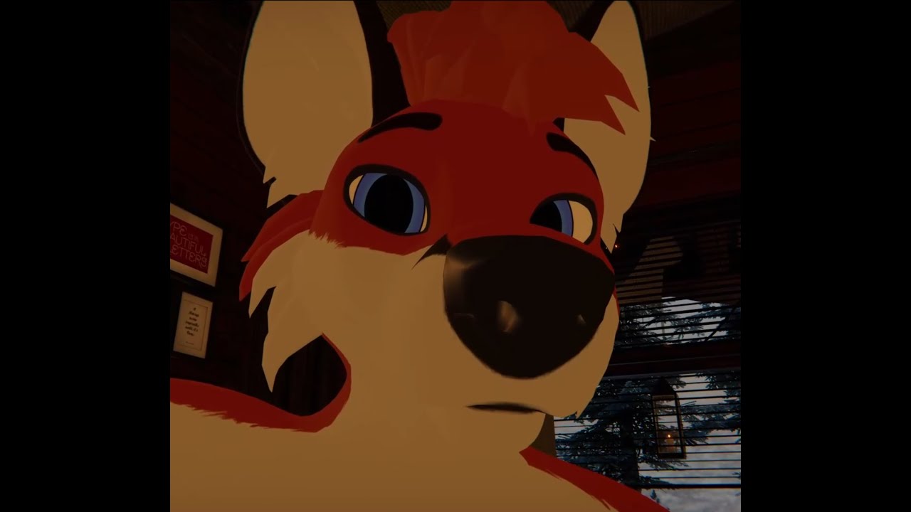 Close up attention and petting