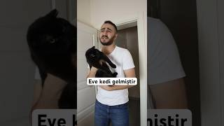 Eve Kedi Gelmiştir