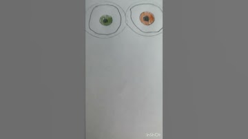 Drawing king Bob Minion